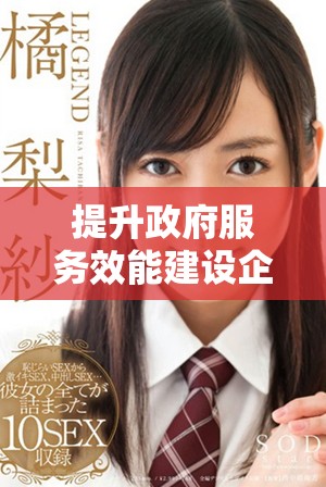提升政府服务效能建设企业与公众信任的高效平台