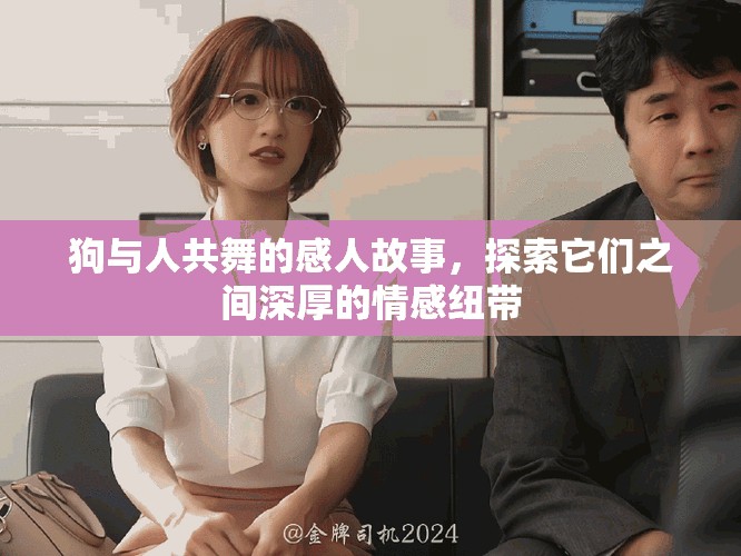 狗与人共舞的感人故事，探索它们之间深厚的情感纽带