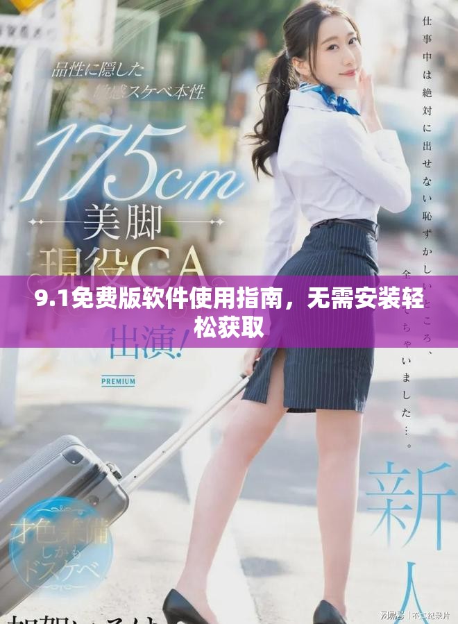 9.1免费版软件使用指南，无需安装轻松获取