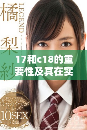17和c18的重要性及其在实际应用中的探讨