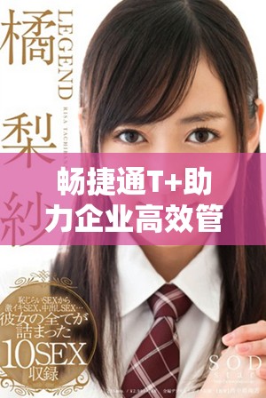 畅捷通T+助力企业高效管理创新业务流程提升竞争力