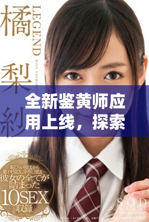 全新鉴黄师应用上线，探索网络内容安全的新方式与新技术