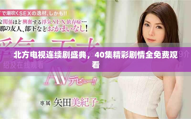 北方电视连续剧盛典，40集精彩剧情全免费观看