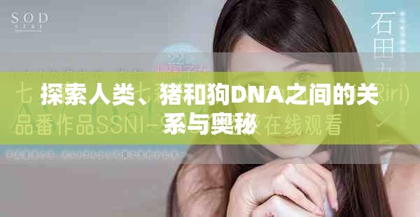 探索人类、猪和狗DNA之间的关系与奥秘