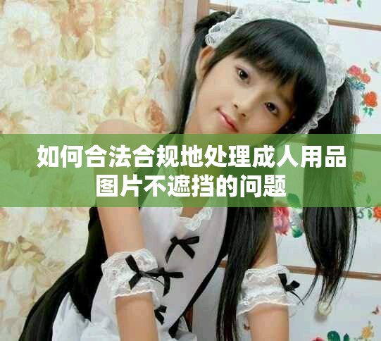 如何合法合规地处理成人用品图片不遮挡的问题