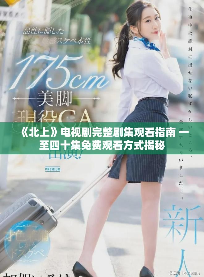 《北上》电视剧完整剧集观看指南 一至四十集免费观看方式揭秘