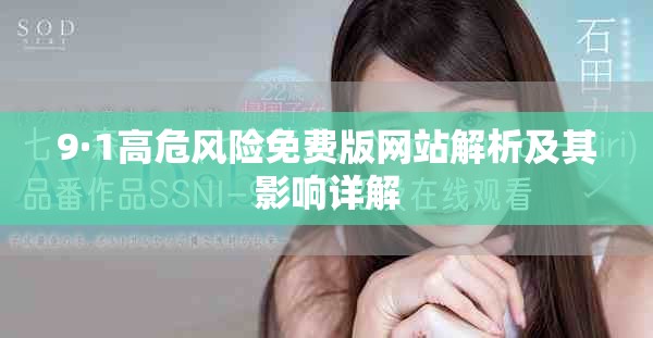 9·1高危风险免费版网站解析及其影响详解
