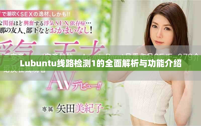 Lubuntu线路检测1的全面解析与功能介绍