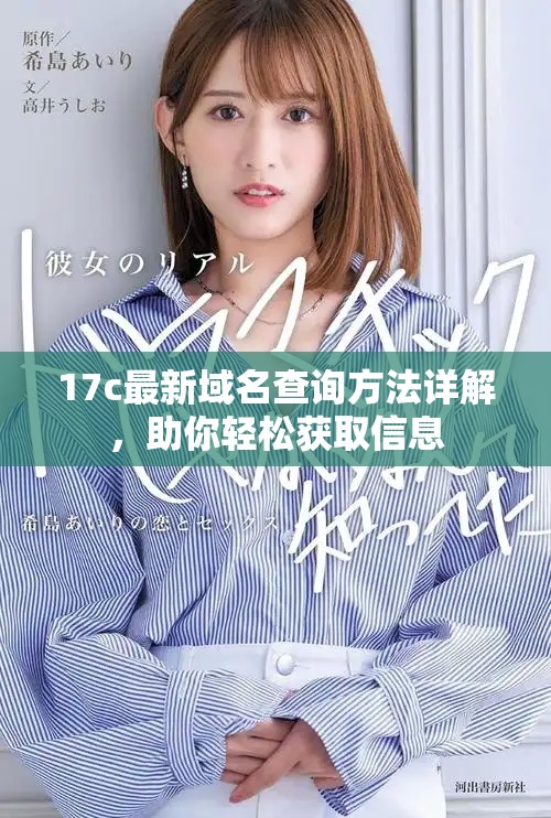 17c最新域名查询方法详解，助你轻松获取信息