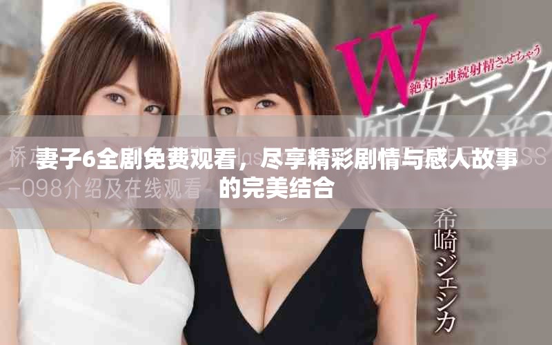 妻子6全剧免费观看，尽享精彩剧情与感人故事的完美结合