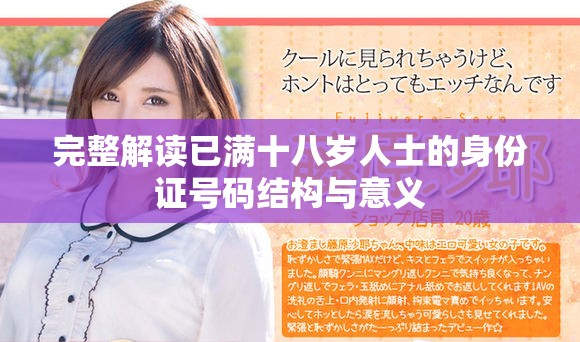 完整解读已满十八岁人士的身份证号码结构与意义