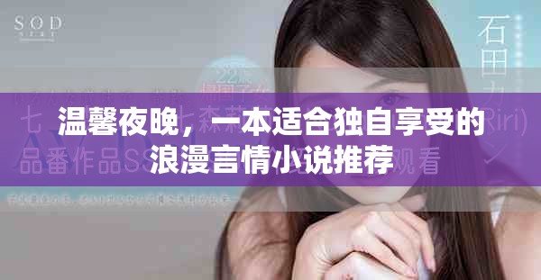 温馨夜晚，一本适合独自享受的浪漫言情小说推荐