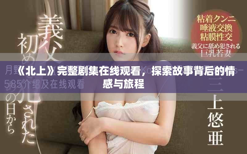 《北上》完整剧集在线观看，探索故事背后的情感与旅程