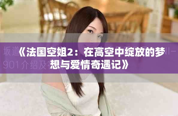 《法国空姐2：在高空中绽放的梦想与爱情奇遇记》
