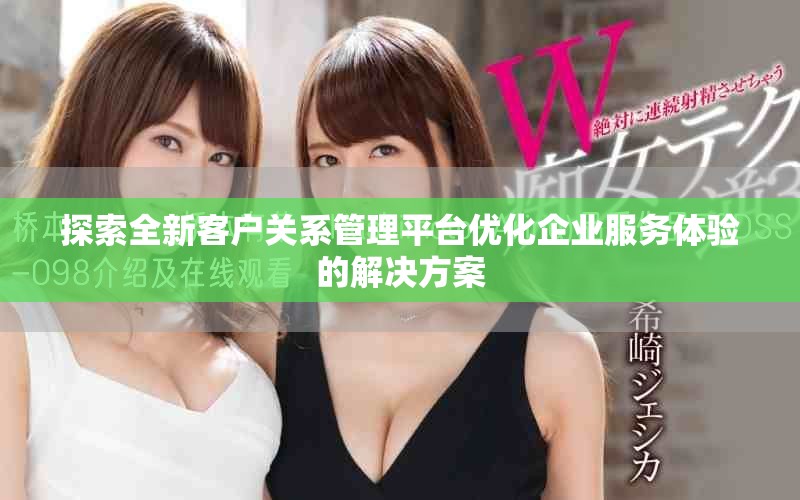 探索全新客户关系管理平台优化企业服务体验的解决方案