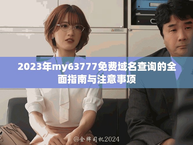 2023年my63777免费域名查询的全面指南与注意事项