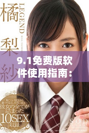 9.1免费版软件使用指南：无需安装即可轻松体验