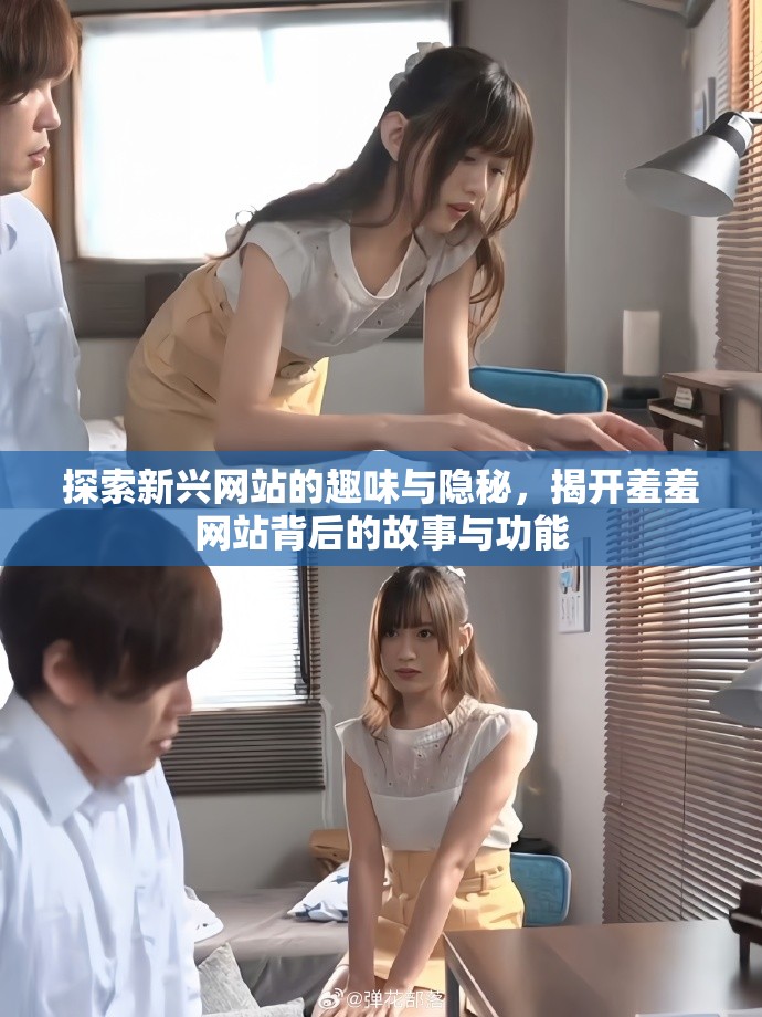 探索新兴网站的趣味与隐秘，揭开羞羞网站背后的故事与功能