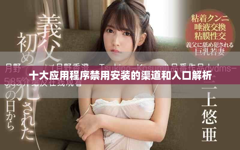 十大应用程序禁用安装的渠道和入口解析