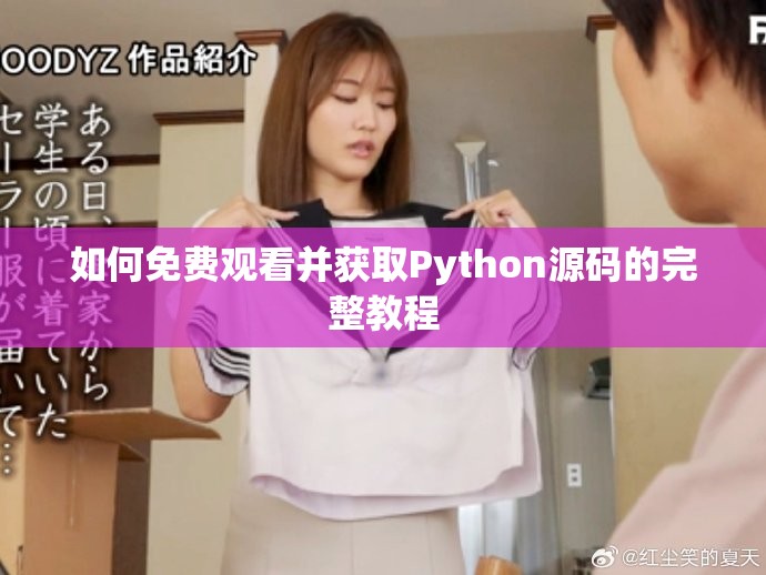 如何免费观看并获取Python源码的完整教程