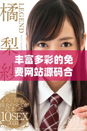 丰富多彩的免费网站源码合集，助你轻松搭建个人网站