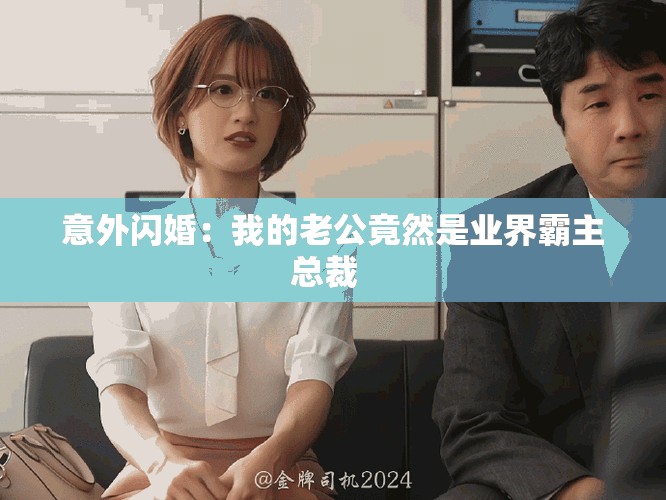意外闪婚：我的老公竟然是业界霸主总裁  