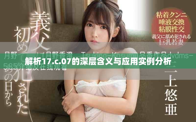 解析17.c.07的深层含义与应用实例分析
