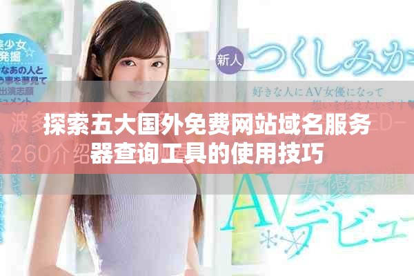 探索五大国外免费网站域名服务器查询工具的使用技巧