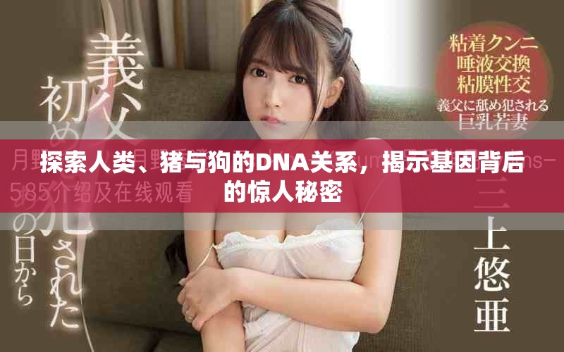 探索人类、猪与狗的DNA关系，揭示基因背后的惊人秘密