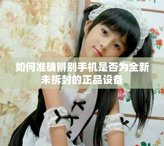 如何准确辨别手机是否为全新未拆封的正品设备