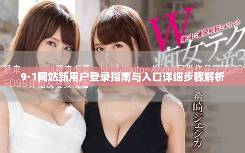 9·1网站新用户登录指南与入口详细步骤解析