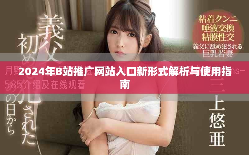 2024年B站推广网站入口新形式解析与使用指南