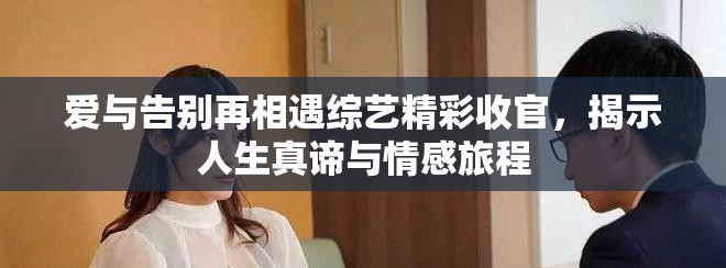 爱与告别再相遇综艺精彩收官，揭示人生真谛与情感旅程