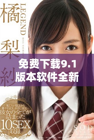 免费下载9.1版本软件全新安装包汇总及使用指导
