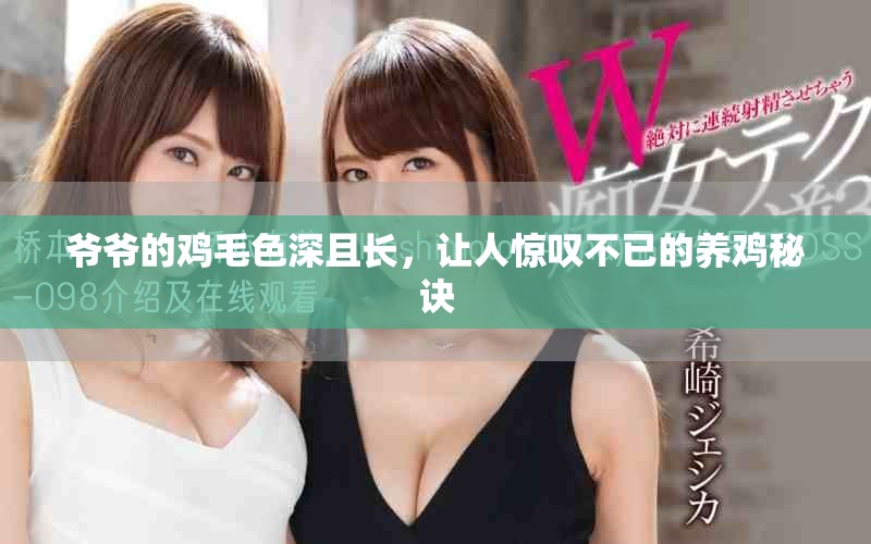 爷爷的鸡毛色深且长，让人惊叹不已的养鸡秘诀