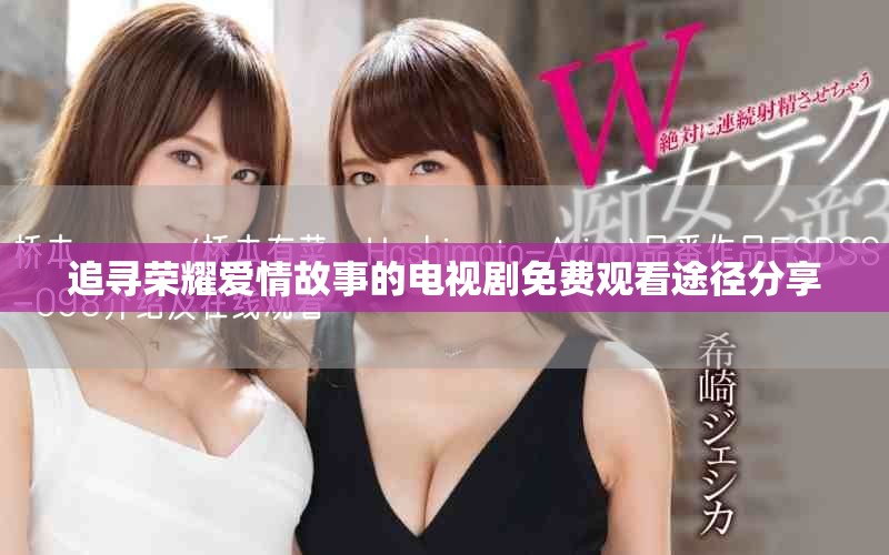 追寻荣耀爱情故事的电视剧免费观看途径分享