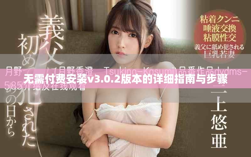 无需付费安装v3.0.2版本的详细指南与步骤